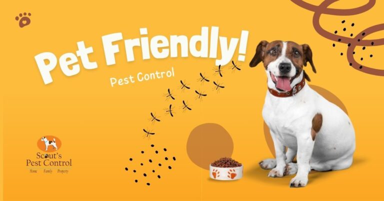 Pet-Friendly Pest Control: Keeping Your Pets Safe and Your Home Pest-Free cover