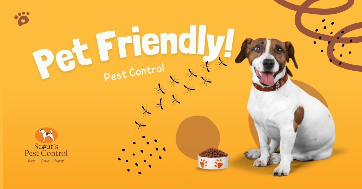 PetFriendly Pest Control Keeping Your Pet