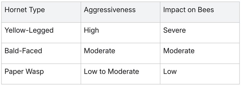 beware of invasive hornets found in south carolina - hornets
