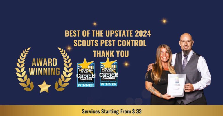 Celebrating “Best Pest Control Company In The Upstate”: A Heartfelt Thank You cover