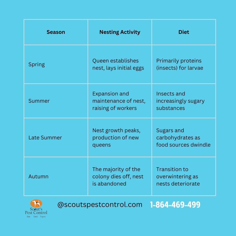 yellow jackets season