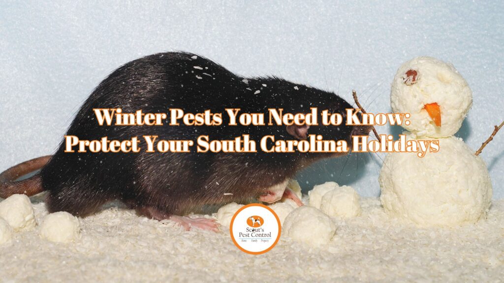 Winter Pests You Need to Know: Protect Your Holidays cover