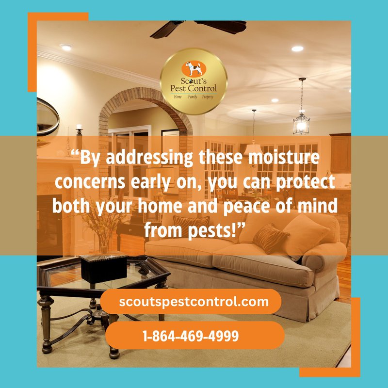 cold weather attracts pests to your crawl space