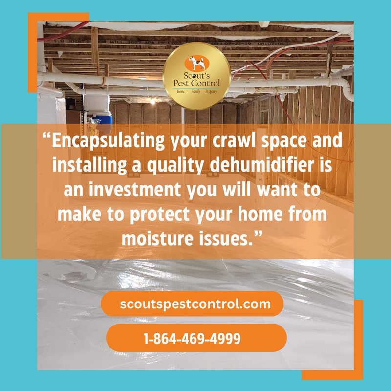 cold weather attracts pests to your crawl space