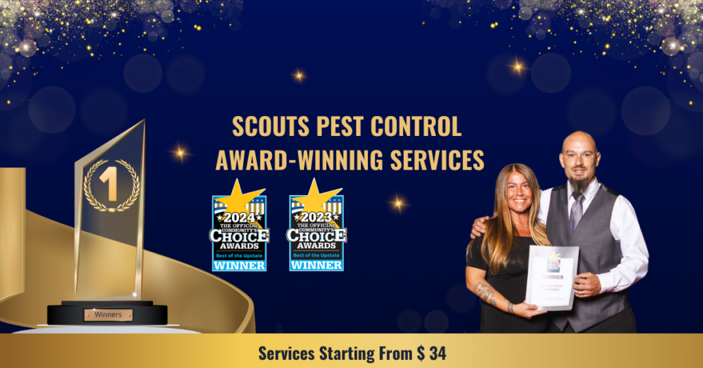Mosquito Control in Anderson, South Carolina 1 award winning pest control