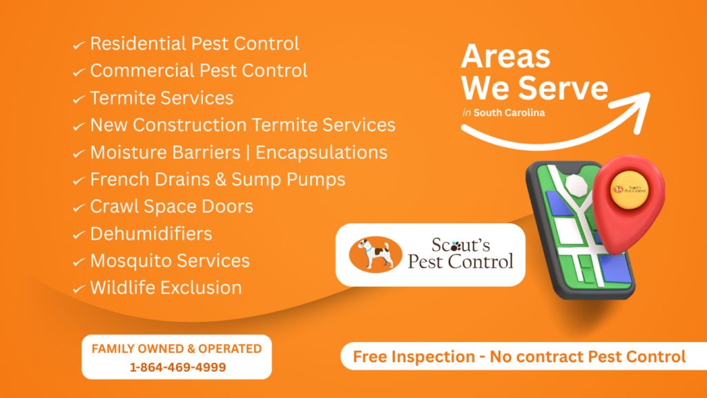 pest control greenville sc -