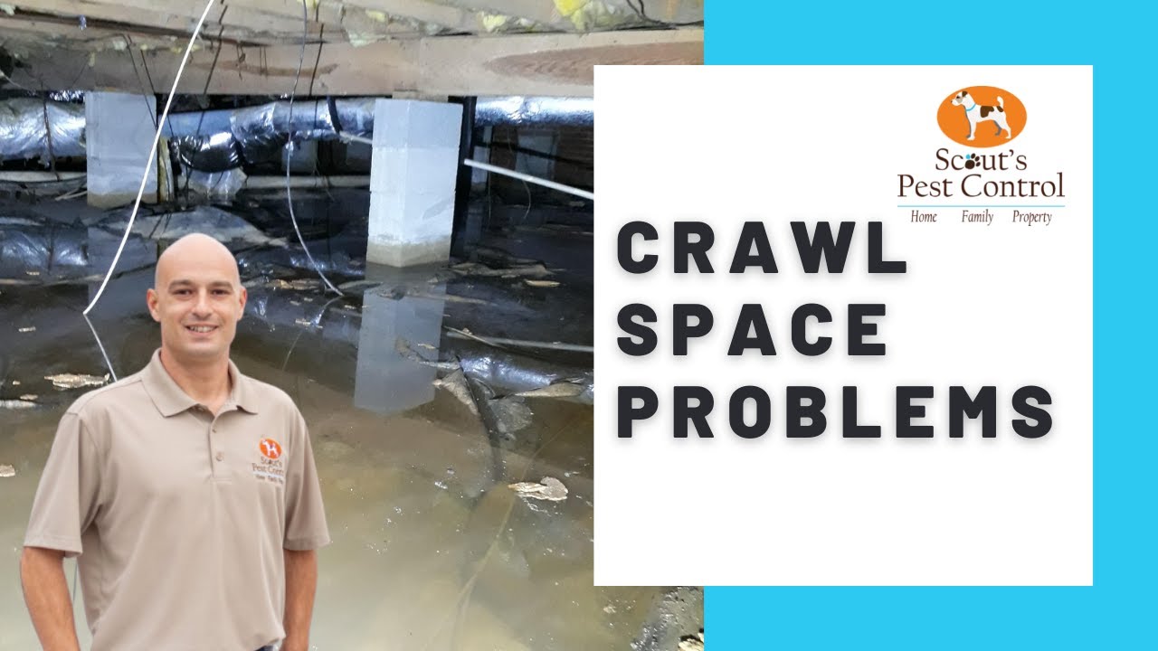 crawl space standing water and moisture problems