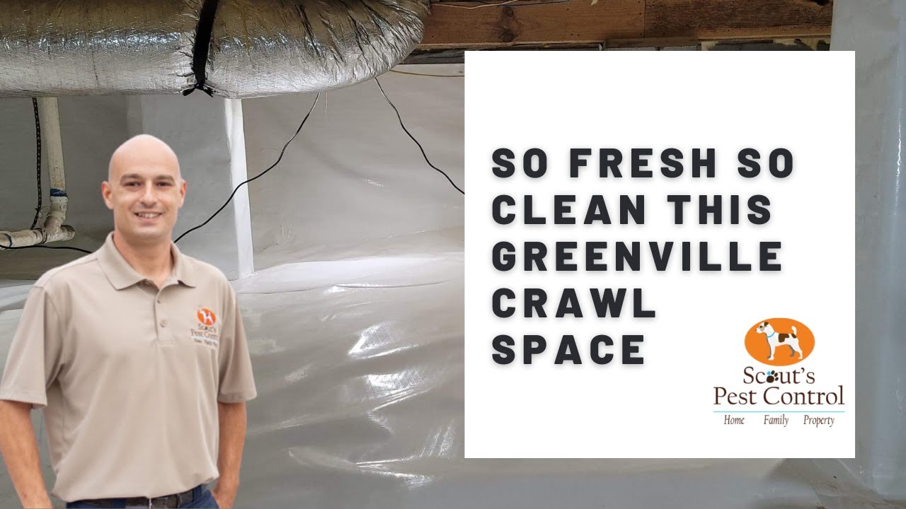 greenville homes need crawl space encapsulation protecting from standing water and moisture problems
