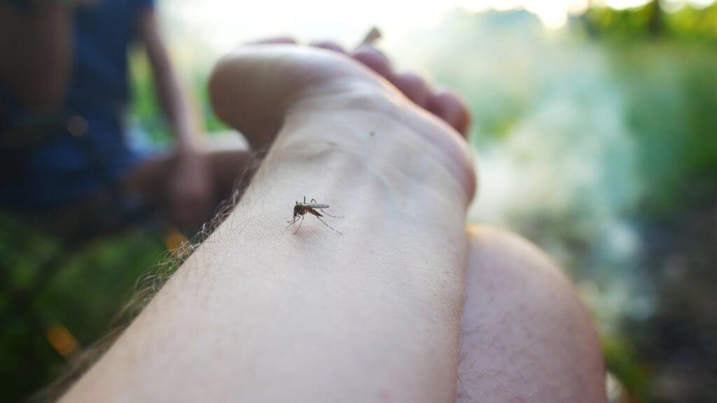 Mosquito Control In Clemson SC 2 mosquito bites hand.mosquito control in clemson
