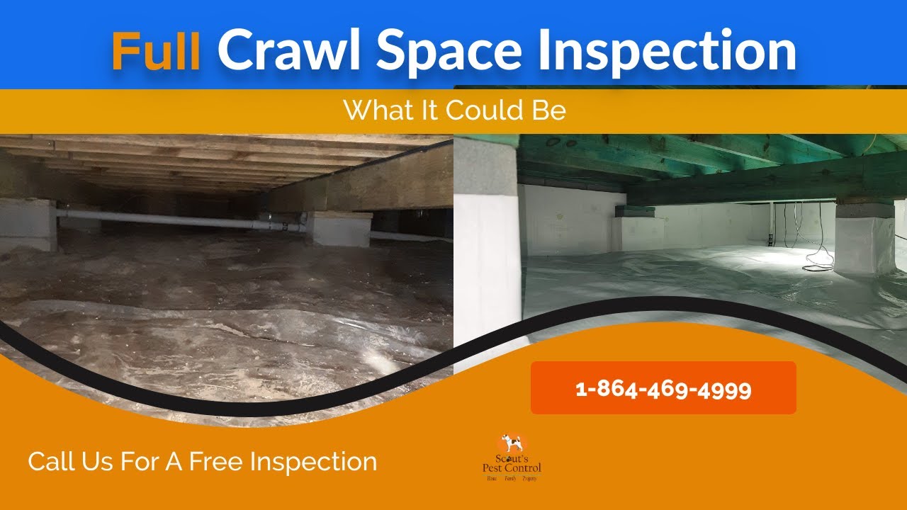 this is what a crawl space inspection in greenville sc looks like